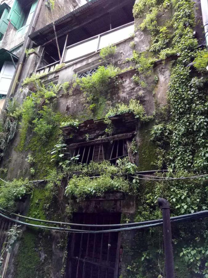 Baobabed Hostel Yangon, Myanmar Exterior foto