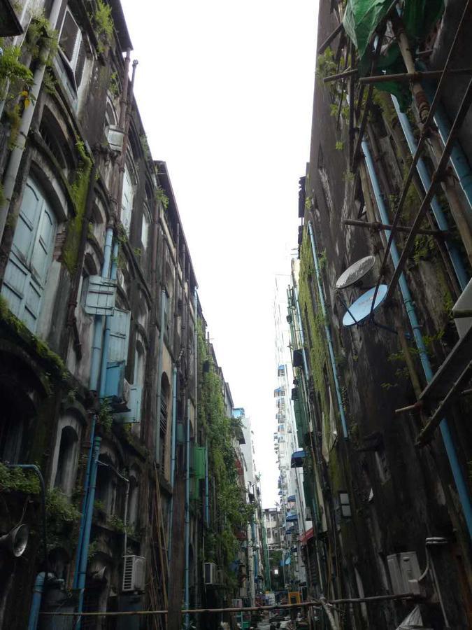 Baobabed Hostel Yangon, Myanmar Exterior foto